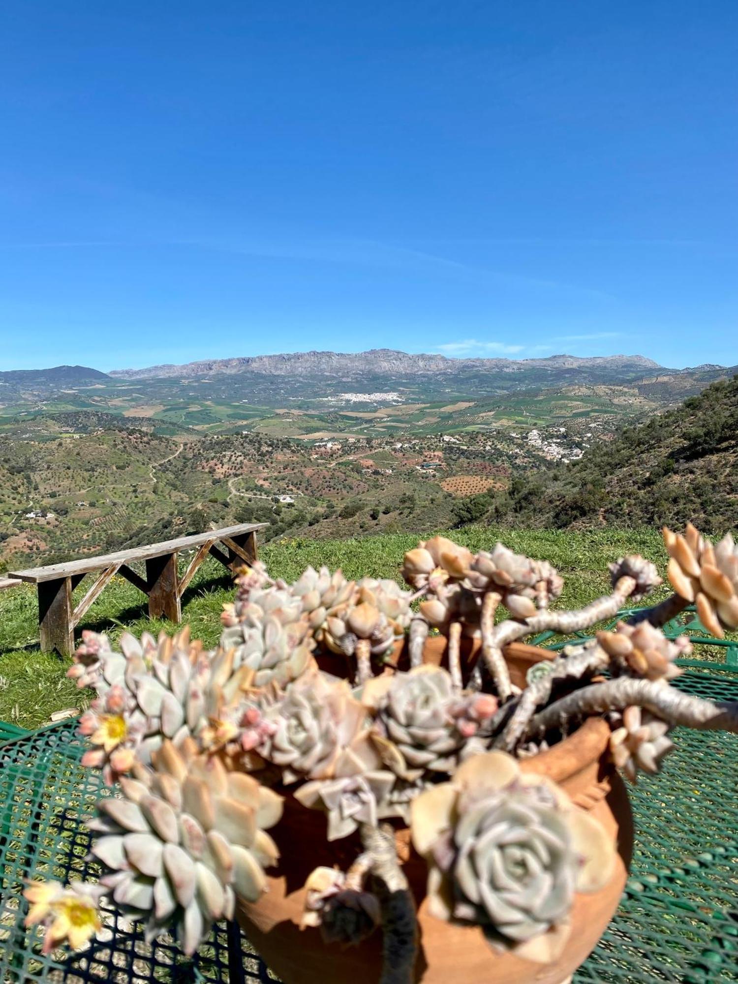 הוילה Almogía El Sueno, Cortijo Andalusi Del Siglo XIX מראה חיצוני תמונה